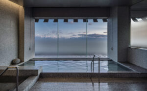 048_IPS0503-強化-NR